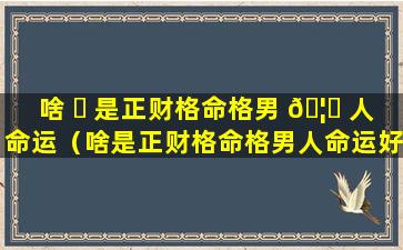 啥 ☘ 是正财格命格男 🦊 人命运（啥是正财格命格男人命运好不好）